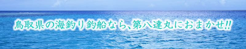 鳥取県の海釣り釣船なら、第八達丸におまかせ！！